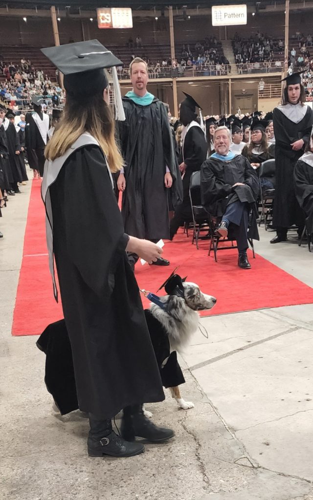 Graduation dog
