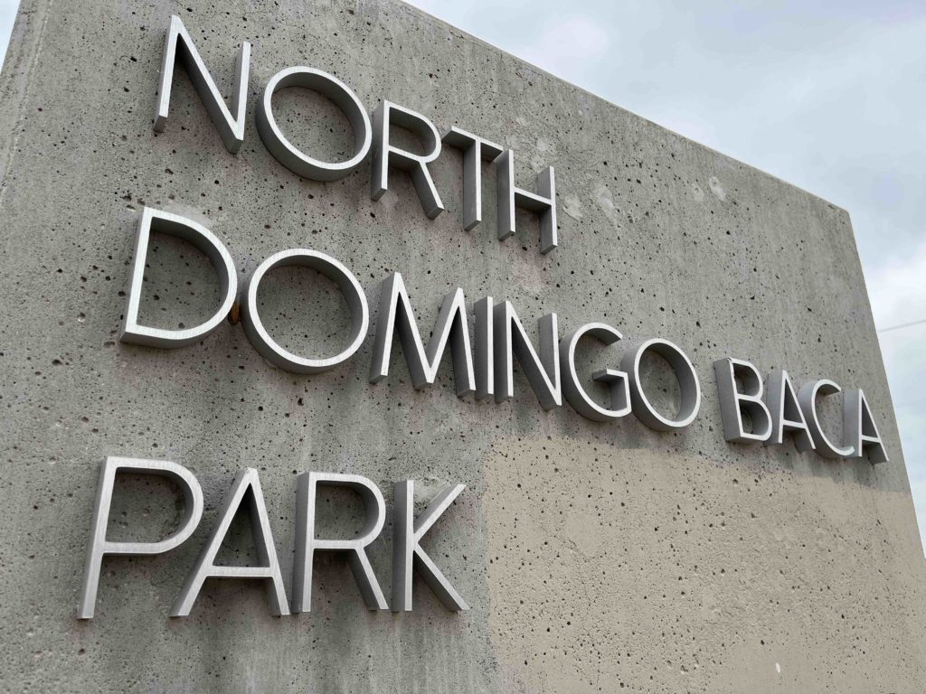 Meetup group offers kickball at the park