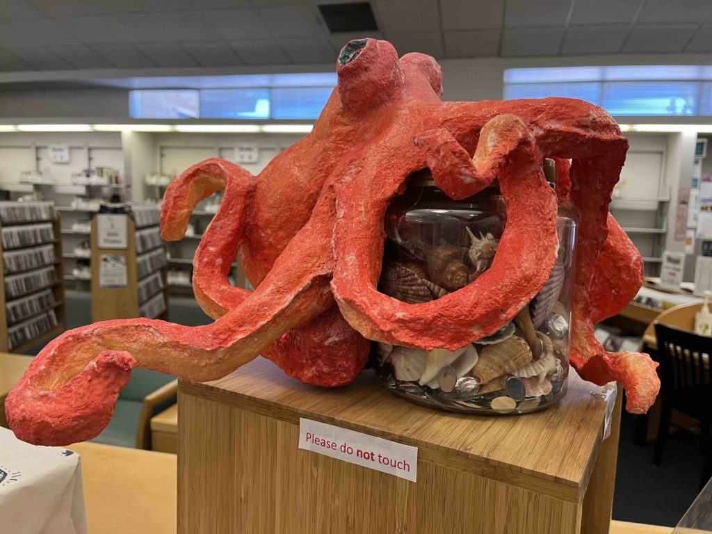 Guess the number of shells for a chance to win a $10 gift card