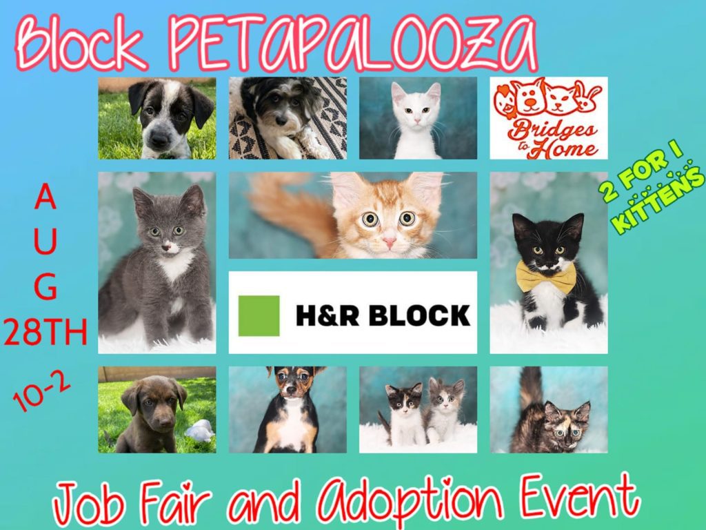 H&R Block pet adoption