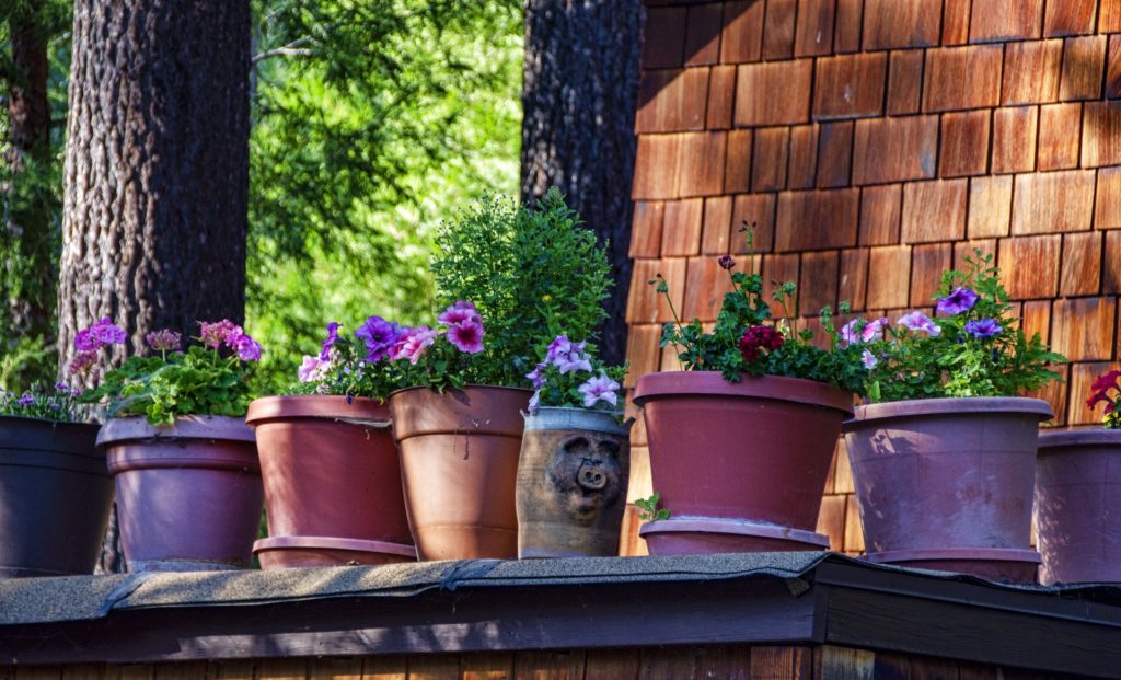 Weather freeze warning tonight