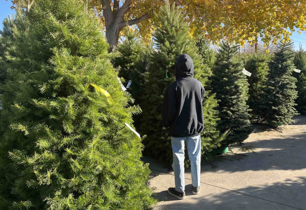 Buying a live Christmas tree helps local business and provides a way to give back to the community