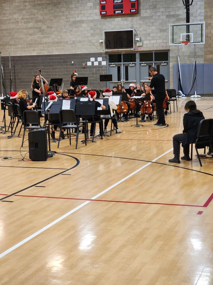 THMS orchestra