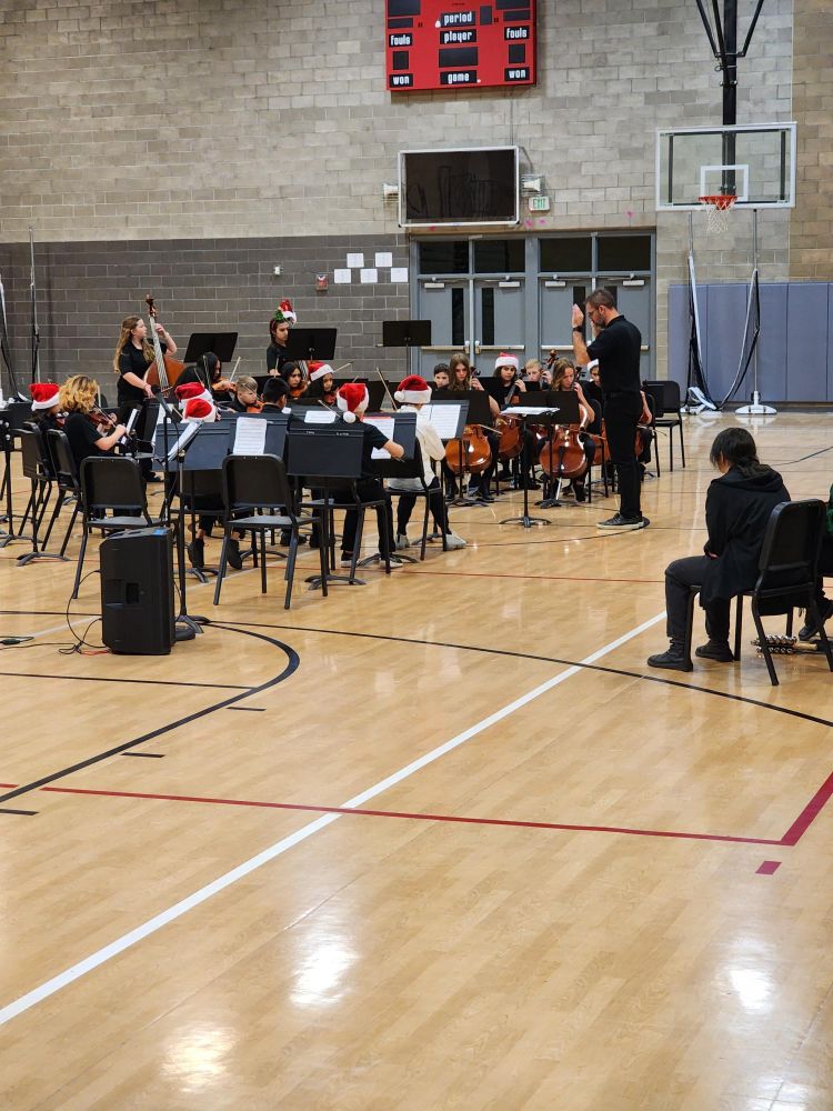 THMS orchestra