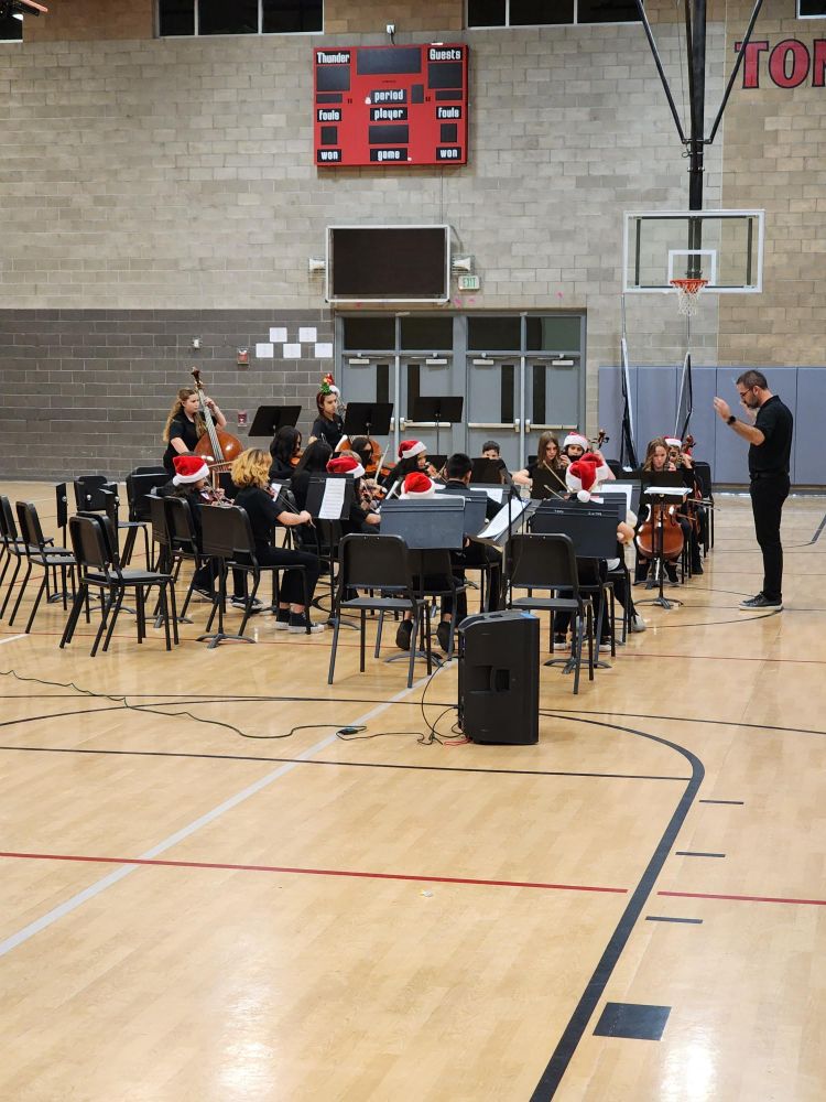 THMS orchestra