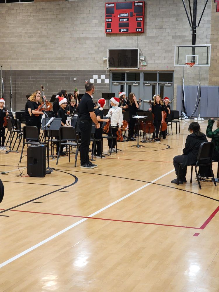 THMS orchestra
