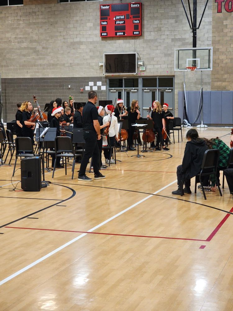 THMS orchestra