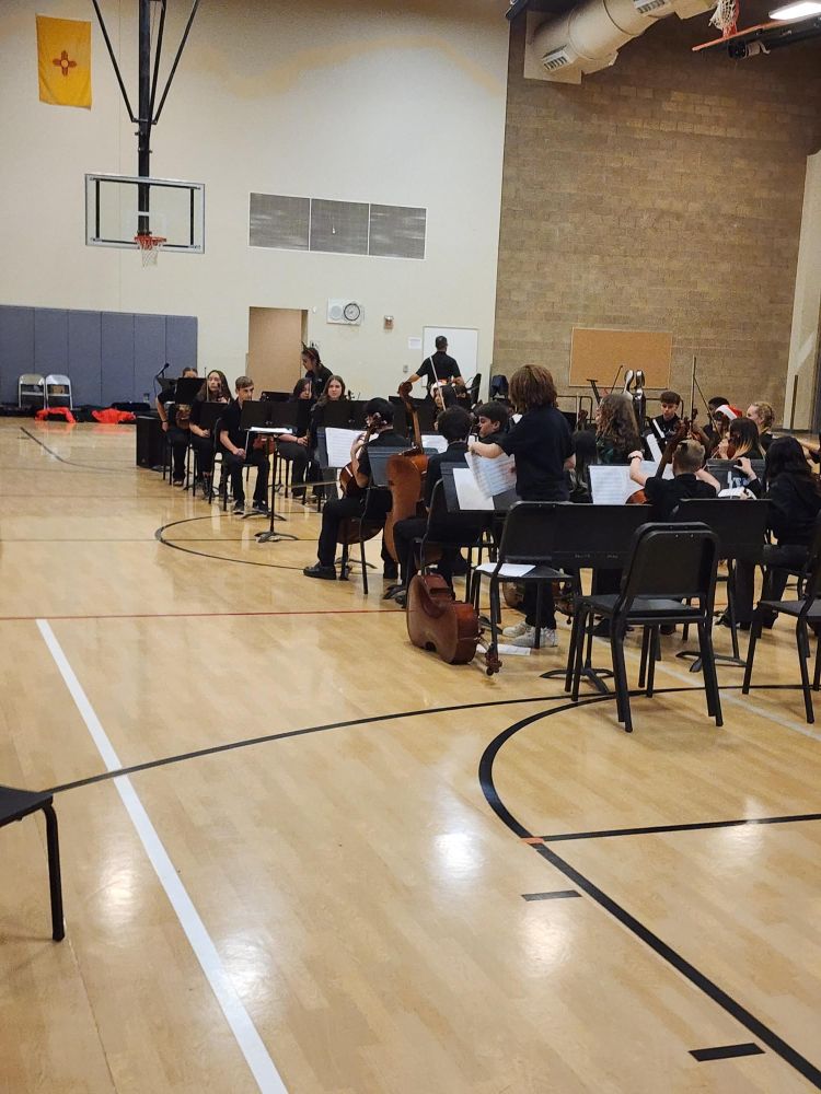 THMS orchestra