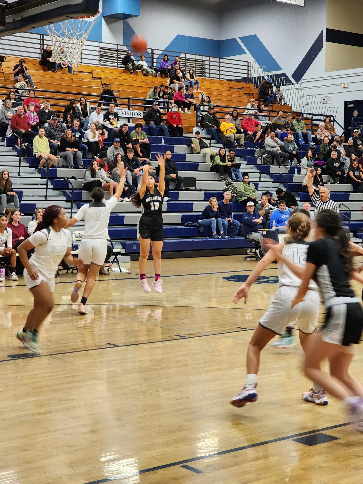 Volcano Vista girls basketball