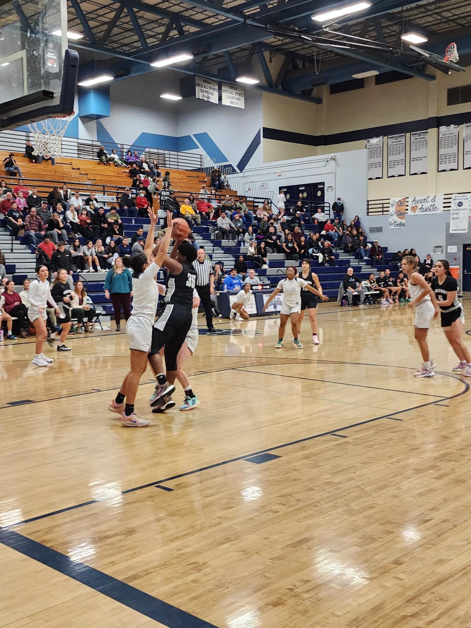 Volcano Vista girls basketball