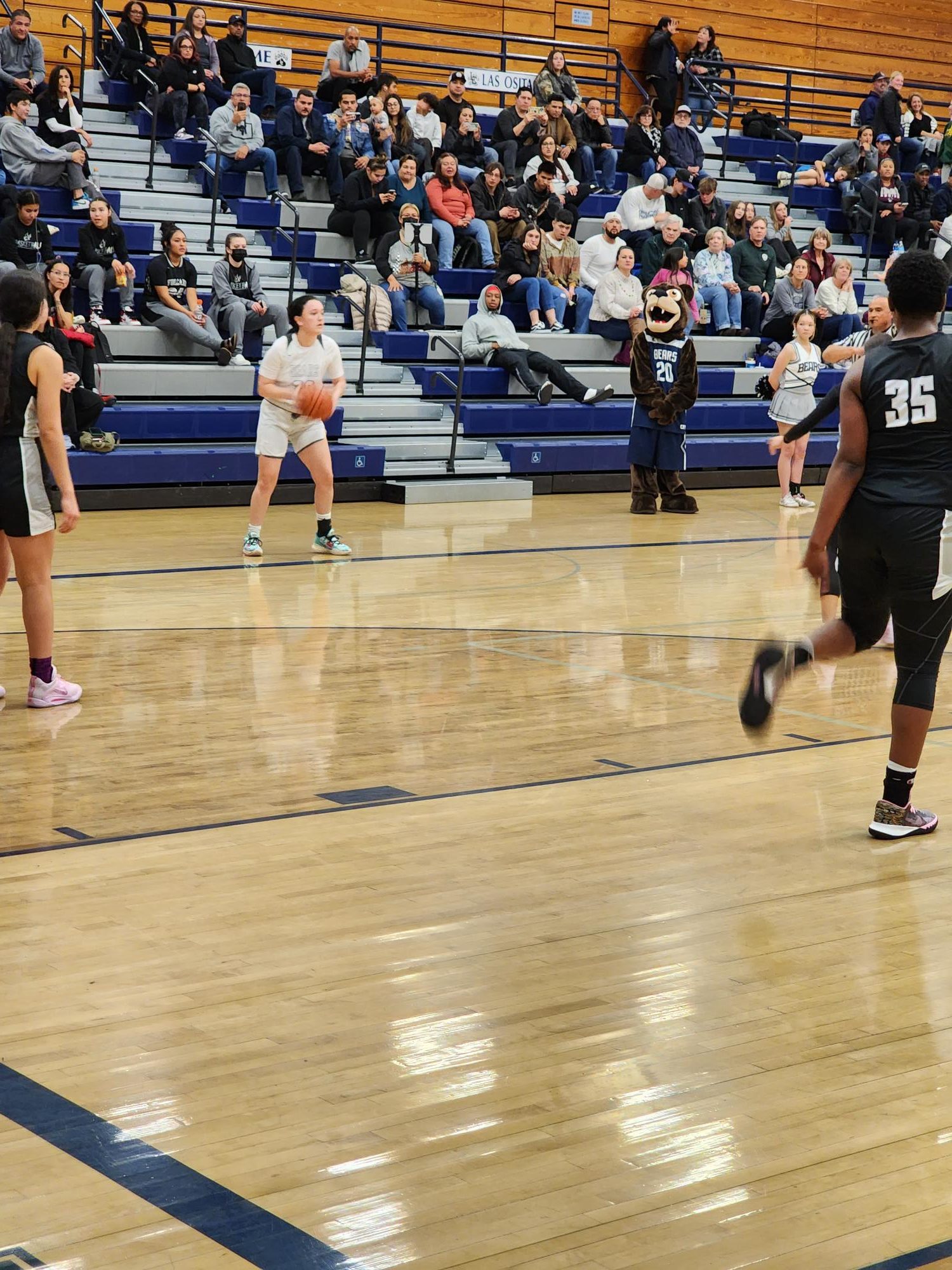 Volcano Vista girls basketball