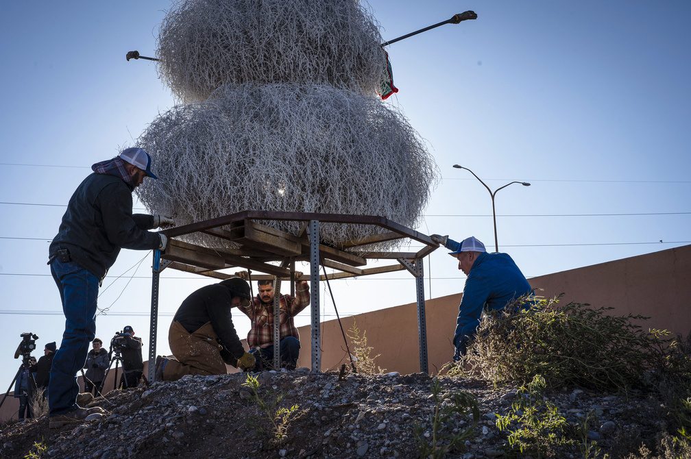 AMAFCA employees secure the Tumbleweed Snowman along Interstate 40 in Albuquerque, N.M., on Tuesday, Nov. 29, 2022. The tradition began in 1995, marking this the 27th year of installing the local icon on Tumbleweed Tuesday, the Tuesday after the Thanksgiving holiday. (Chancey Bush/Albuquerque Journal)