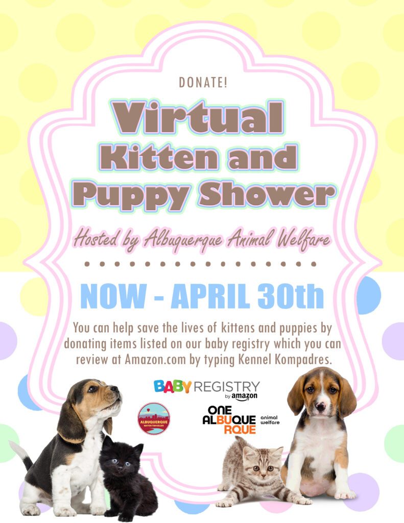 Animal Welfare Department hosting virtual kitten and puppy shower