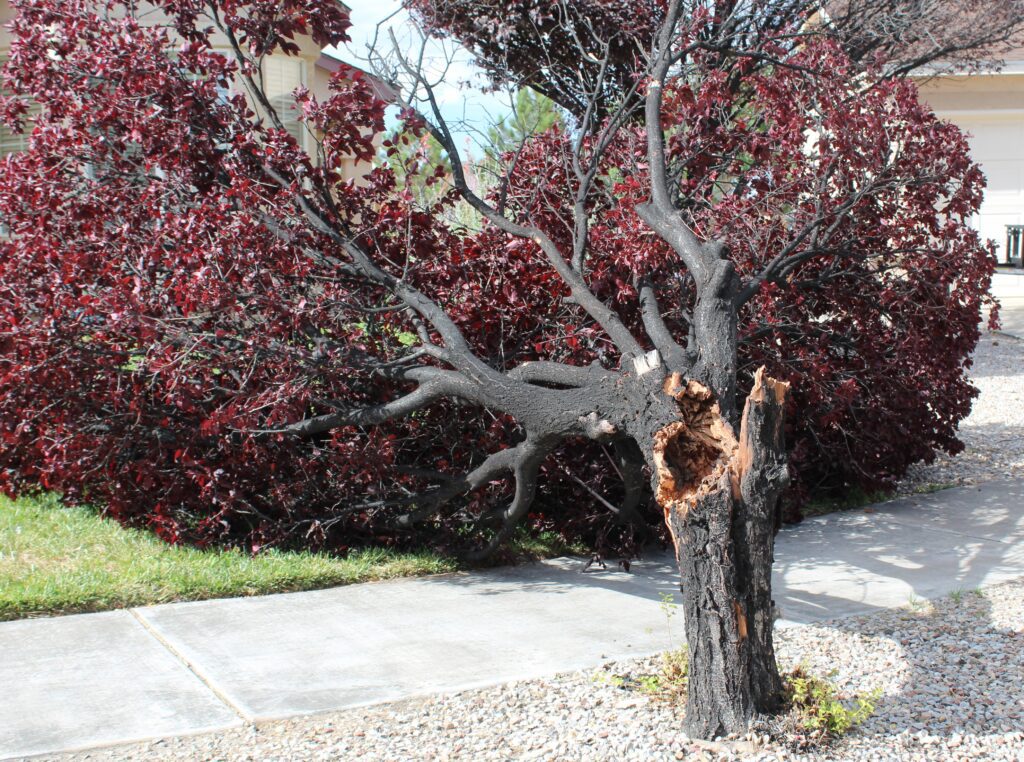 Resident claims Northern Meadows POA not following court ruling